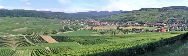 Les voies de l'Appellation d'Origine Durable