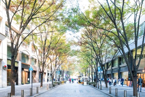 Conférence d'actualité: Les baux commerciaux
